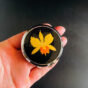 Pink Lady compact with hand-painted orchid design on a black lacquer base (Showa mid-century, 1950s–70s)
