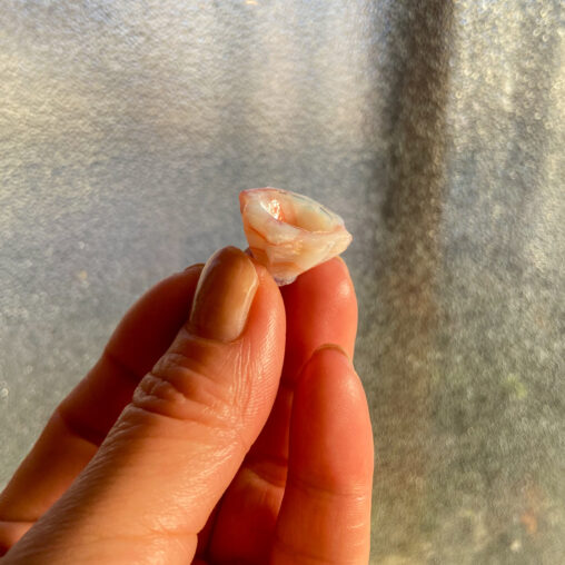 手のひらでそっと摘ままられあ、小さな乳白のガラスの器